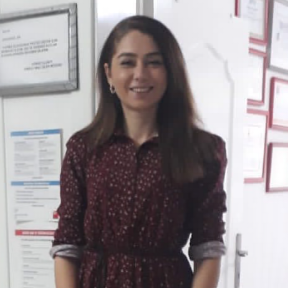 د. إرسونغول إر