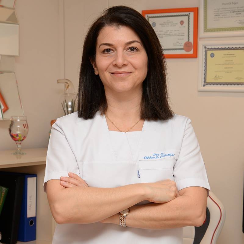 Prof. Dr. Çiğdem Elbek Çubukçu